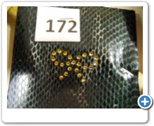 collection 2 rettili 172